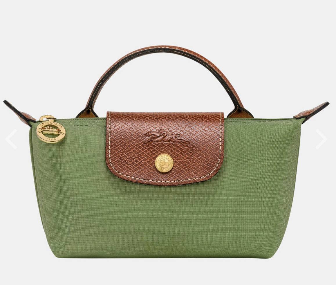 Long champ mini